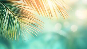 Tropical vibes with golden palm leaves and bokeh lights creating a summer paradise photo
