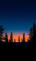 A breathtaking view of the silhouette trees at twilight with colorful sky background photo