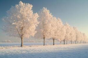 Row of frosty trees standing in snowy field during winter photo