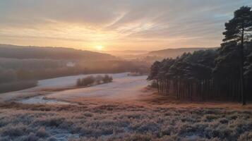 Stunning winter sunrise illuminating frosty fields and pine trees forest photo