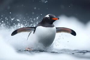 Gentoo penguin running on water with open wings and splashing water photo