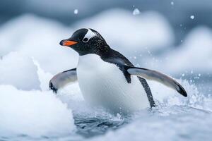 Gentoo penguin jumping out of the water between ice floes in Antarctica photo