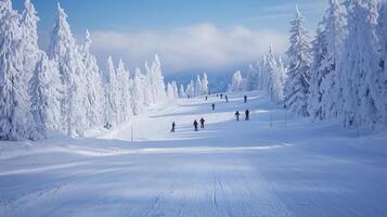Skiers enjoying a sunny winter day skiing down a snowy slope surrounded by snow-covered trees photo