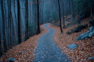 Serene Forest Pathway Covered in Autumn Leaves photo
