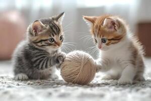 Two kittens playing with ball of yarn on carpet photo