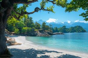 Tranquil beach inviting relaxation under tree shade with breathtaking mountain view in the Black Sea region of Turkey photo