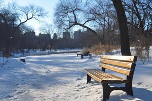 Empty bench inviting visitors to enjoy winter sun in Central Park photo