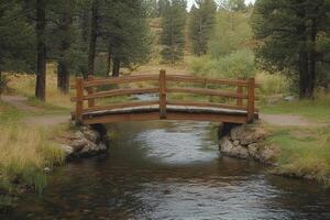 Wooden bridge crossing a peaceful stream in a forest photo