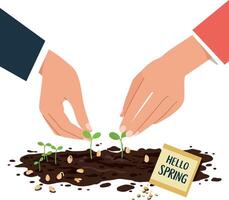 Two hands planting small green sprouts in rich soil with a cheerful Hello Spring sign in a flat illustration vector