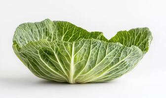 a large cabbage is shown in a bowl photo