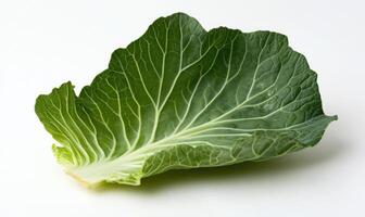 a large green leaf is shown on a white surface photo