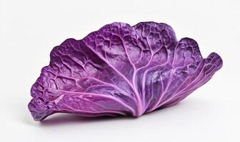 a purple cabbage is shown on a white surface photo