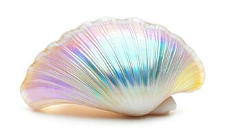 a shell with rainbow colored shells on it photo