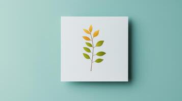 A leafy green plant with yellow leaves is on a white background photo