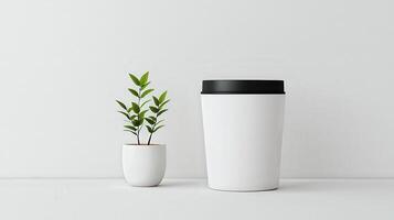 A white plant sits next to a white container photo