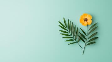 A yellow flower is on a green background photo