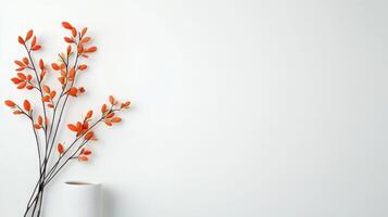 A white background with a vase of orange flowers on it photo