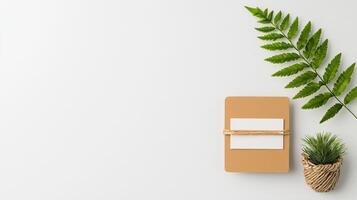 A minimal white background with a brown box and a green leaf photo