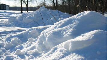 Winter Landscape Serene Snowdrifts Under Sunlight with Bare Trees photo