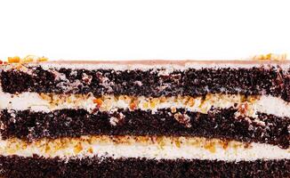 Delicious chocolate cake with layers of cream and nuts photo