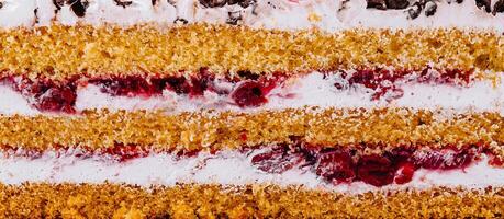 Delicious cake layers showing filling and frosting texture closeup photo