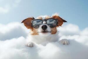 Adorable dog relaxing on cloudy day photo