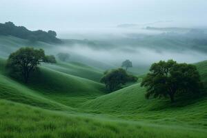 Rolling green hills and lone trees in morning mist photo