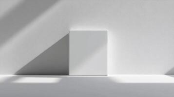 An empty white room with a window and a white square photo