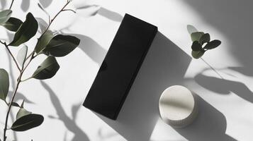 A black box and a plant on a white surface photo