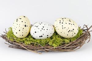 Rustic birds nest with speckled eggs made of twigs and moss on a natural tree branch in soft lighting photo
