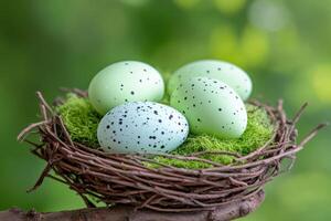 Rustic birds nest with speckled green eggs resting on a tree branch under natural soft lighting in a serene environment photo