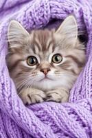 Fluffy kitten snuggled in lavender-patterned blankets creates a cozy atmosphere in a serene bedroom setting with soft lighting and pastel colors photo
