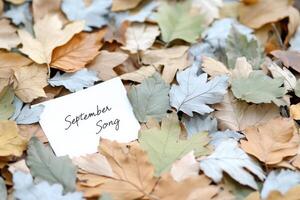 Vibrant autumn leaves scattered on the ground with a handwritten note titled September Song inviting reflection and nostalgia in a serene outdoor setting photo