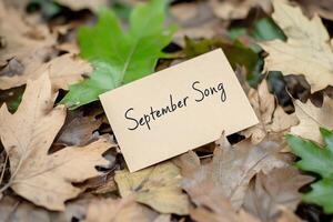 Note reading September Song placed on autumn leaves in a serene outdoor setting, evoking a sense of nostalgia and change photo