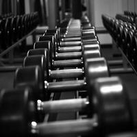 A row of dumbbells in a gym photo