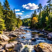 Serene River Landscape in a Lush Forest with a Bright Sunny Sky and Vibrant Fall Colors photo
