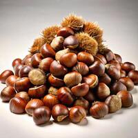 A large pile of freshly harvested chestnuts with their prickly husks photo