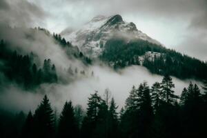 Misty Mountain Landscape with Evergreen Trees and Snow Covered Peak photo