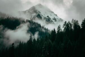Misty Mountain Peak Enveloped in Foggy Clouds above a Dark Evergreen Forest photo