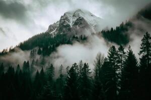 Majestic Mountain Peak Shrouded in Foggy Forest Landscape photo