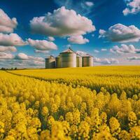Scenic View of Grain Silos in a Vibrant Yellow Rapeseed Field under a Sunny Blue Sky with Fluffy White Clouds photo