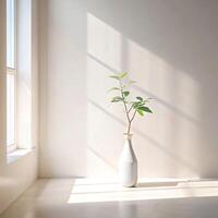 Minimalist Interior Design Featuring a Single Branch with Green Leaves in a White Vase Basking in Sunlight photo
