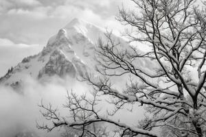 Majestic Winter Mountain Scene with Snow Covered Branches photo