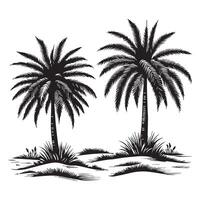 Vintage Palm Tree Line Art Illustration vector
