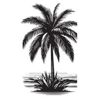 Hand-Sketched Palm Trees for Design Use vector