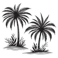 Minimalist Palm Tree Sketch vector