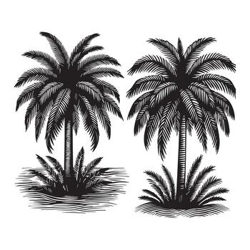 High-Quality Palm Tree Illustration for Print vector