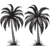 Black and White Palm Trees for Digital Use vector
