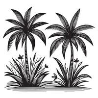 Palm Trees with Intricate Leaf Details vector