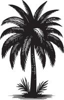 Elegant Palm Tree Botanical Illustration vector